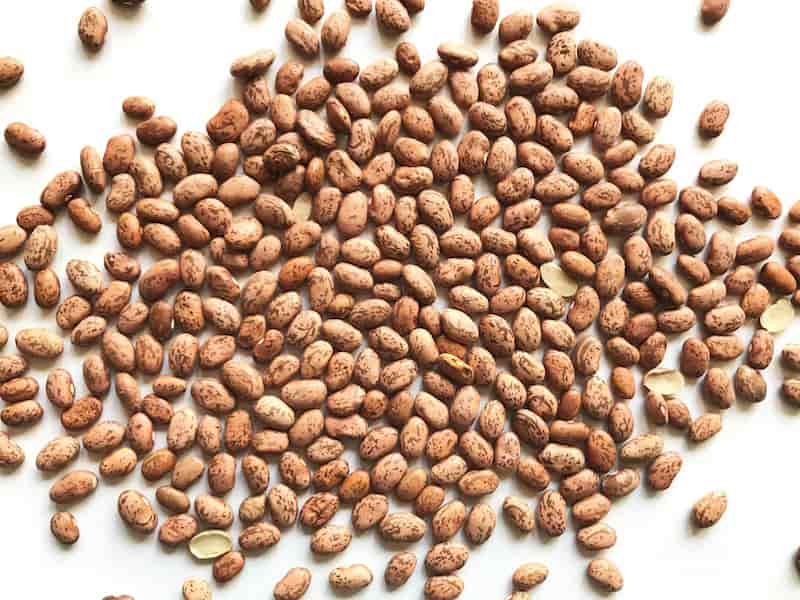 خرید و قیمت لوبیا چیتی دستچین + فروش صادراتی